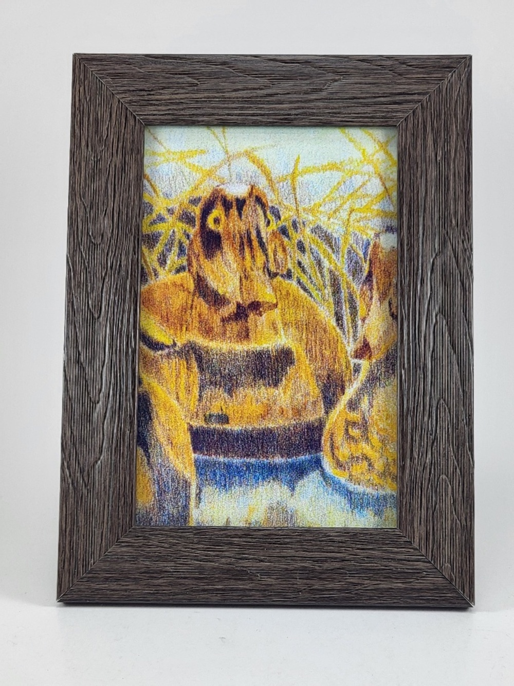 Vintage Americana Duck Decoy Wildlife Print - 4x6 Wide Edge Gray Frame